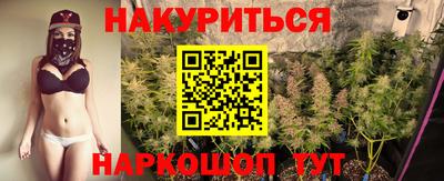 крисы Прохладный