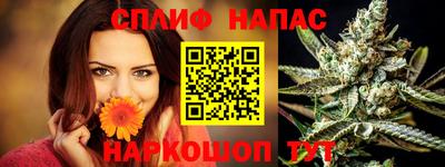крисы Прохладный