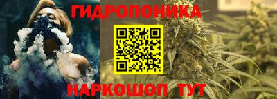 крисы Прохладный
